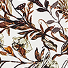 Hidden Garden Scarf 45