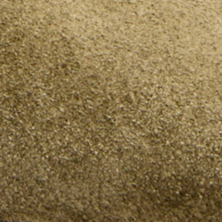 Mirjana Loafer
